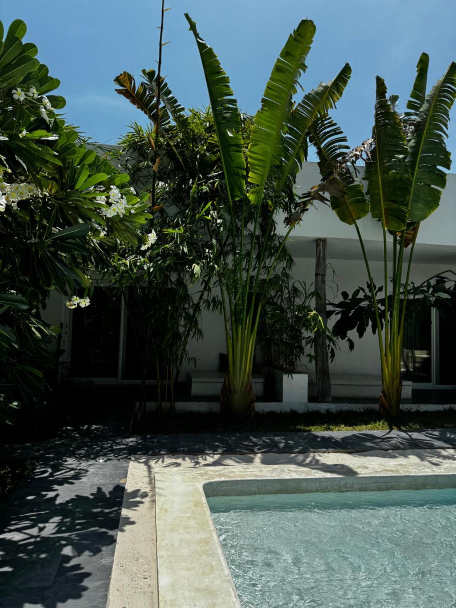 La Base Hotel Kiwengwa  Ngoại thất bức ảnh